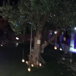 https://agriturismo-santu-marcialis.in-sardinia.net